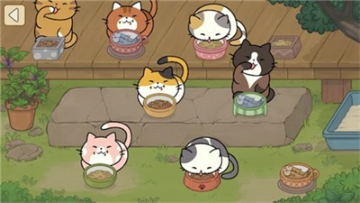 猫可爱极了截图