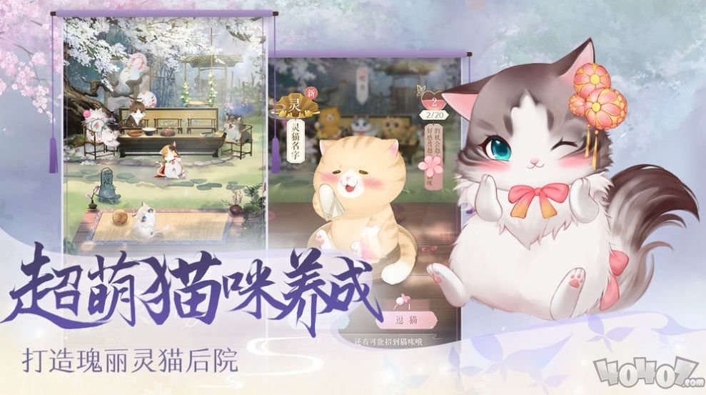 灵猫传测试版