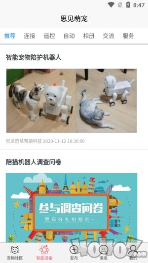 思见萌宠