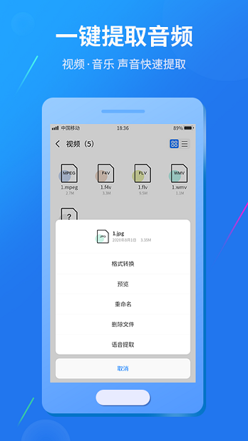 格式转换大师截图