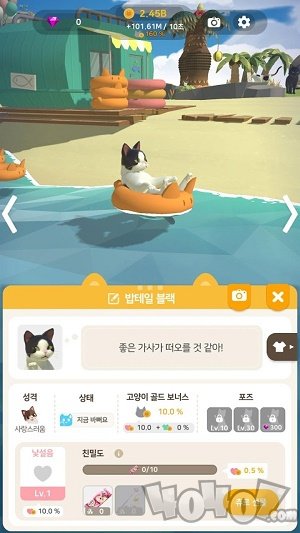 猫星人之岛