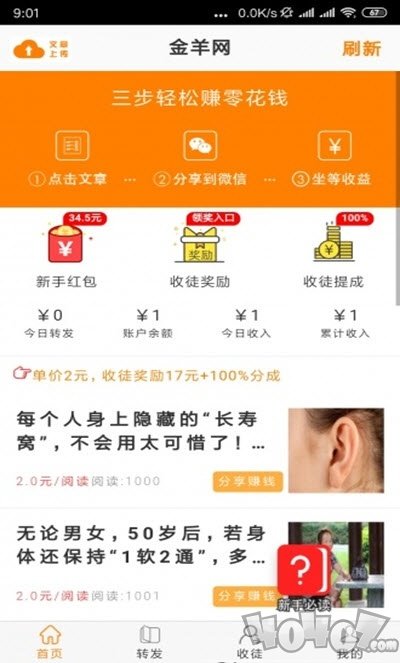 金羊网