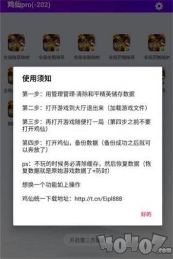 鸡仙辅助