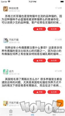 有爱有宠宠
