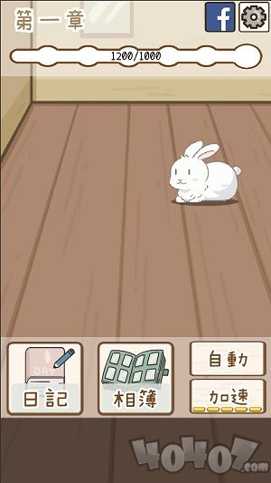 家有可爱兔