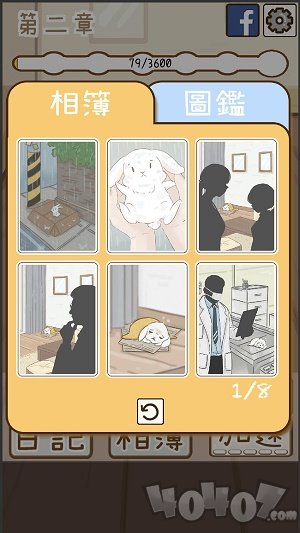 家有可爱兔