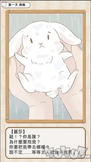 家有可爱兔