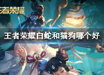 王者荣耀大乔白蛇和猫狗哪个好 白蛇猫狗详细对比