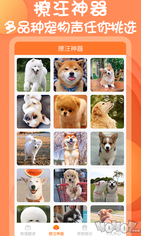人狗交流器助手