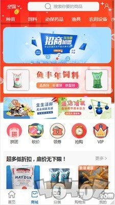 当当鱼