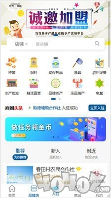 当当鱼