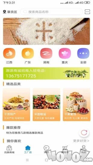 米粒儿