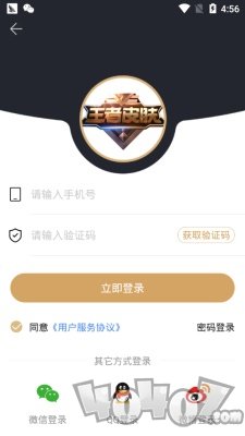 王者皮肤助手