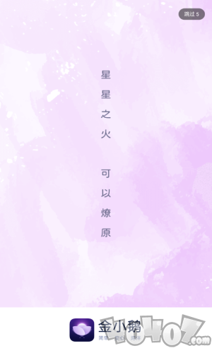 金小鹅