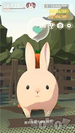 兔子可愛了2