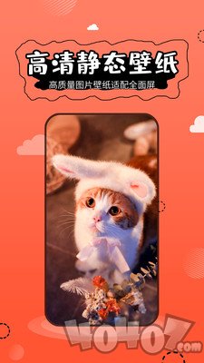 主题管家