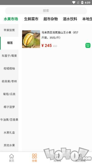 火星章鱼
