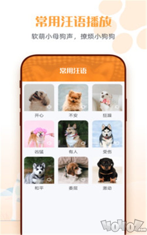 狗狗语交流翻译