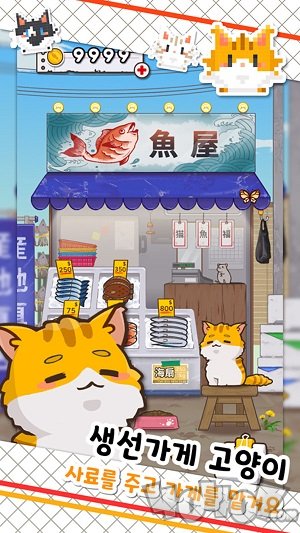 鱼店猫老板