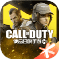 cod画质修改器
