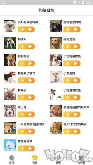 宠物翻译机