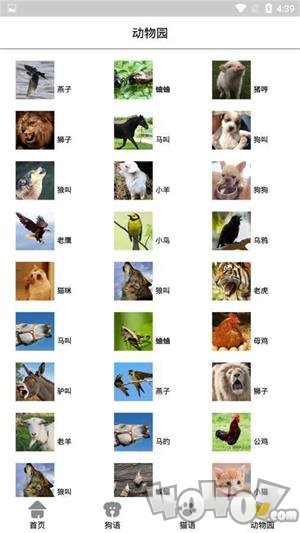 宠物翻译机
