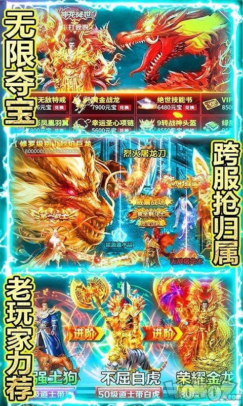 传奇国度之火龙临世