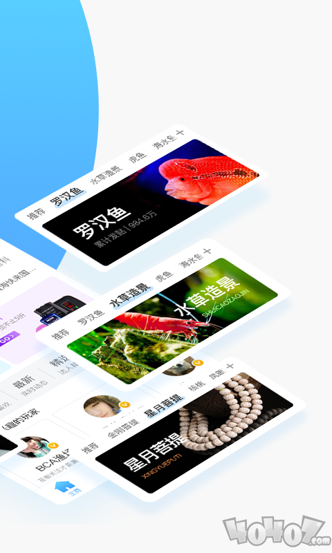 鱼邻