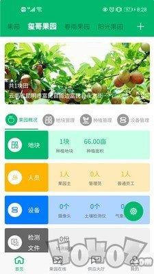 云上果园