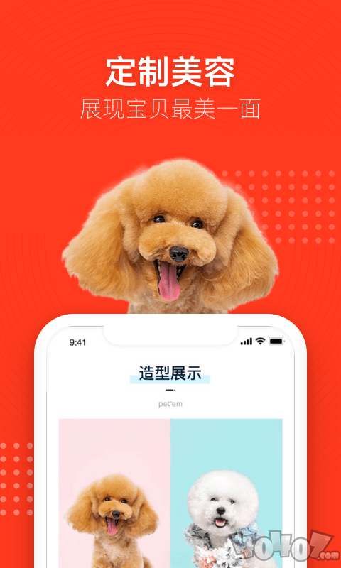 宠物家