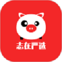 志在严选