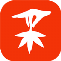精采