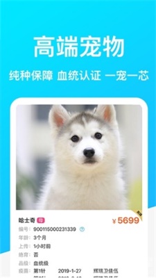 dog breeds截图