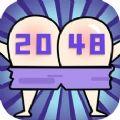 神奇的2048