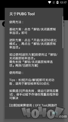 pubg国际服画质助手