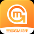 王者GM助手