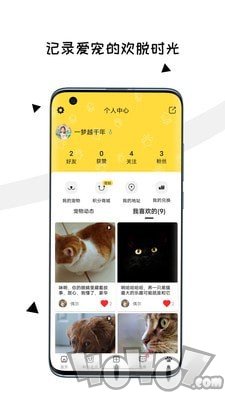 交宠