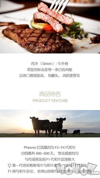 普冷库购