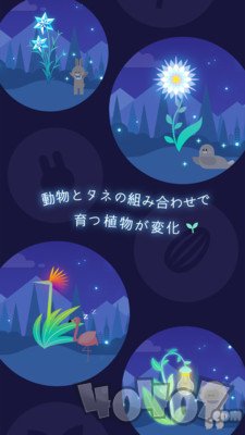 猫星大作战