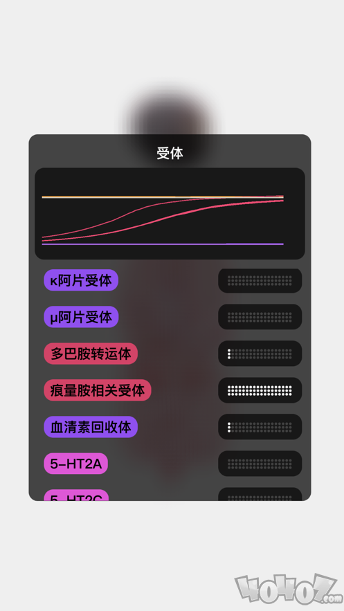 生命life