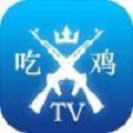 和平精英三颗灰助手