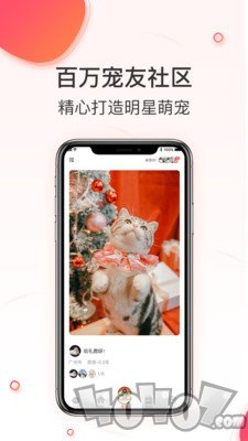 相宠