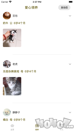 宠帮帮