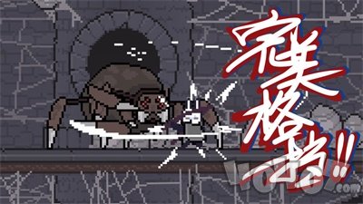 只兔不灭的勇者