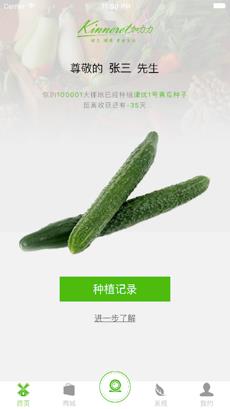 集体农庄