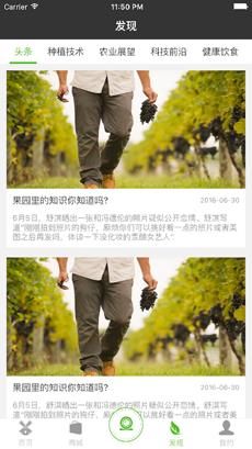 集体农庄