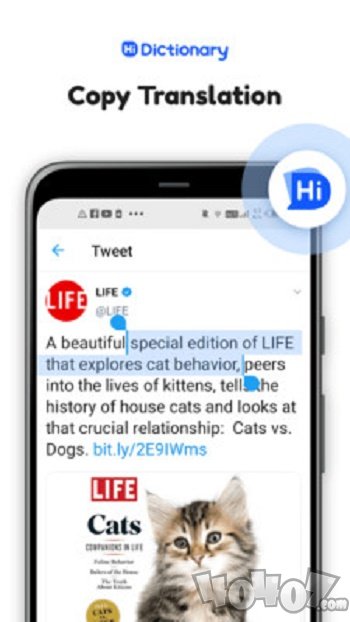 Hi Dictionary