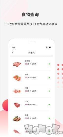 魔胴健康
