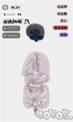 life生命模拟器