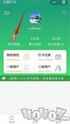 红鱼打卡